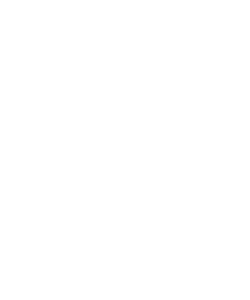 Türkiye Yüzyılı Logo